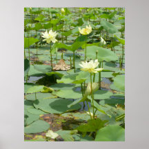 Homestead Pond Print