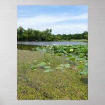 Homestead Pond Print