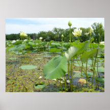Homestead Pond Print