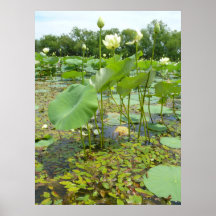 Homestead Pond Print