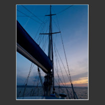 Homeward Bound Postcard postcards
