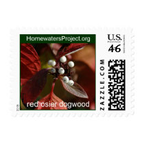 Homewaters Project red osier dogwood postage by homewatersproject Homewaters Project red osier dogwood postage