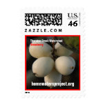 Homewaters Project Snowberry Cluster Postage Stamps