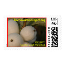 Homewaters Project Snowberry Stamps