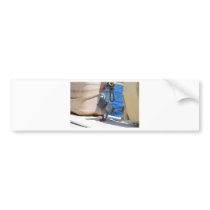 Homing Pigeon Bumper Stickers