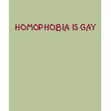 HOMOPHOBIA IS GAY t-shirts