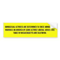 Homosexual activists are determine... - Customized bumper stickers