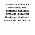 Homosexual activists are determined to force ho... t-shirts