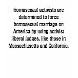 Homosexual activists are determined to force ho... t-shirts