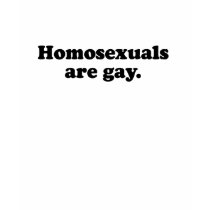 HOMOSEXUALS ARE GAY t-shirts