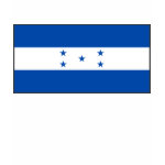 Honduras Flag + Map Spaghetti Top