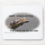 Honest Turtle Mouse Pads