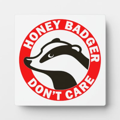 Honey Badger Don&#39;t Care Display Plaques