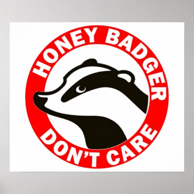 Honey Badger Don&#39;t Care Print
