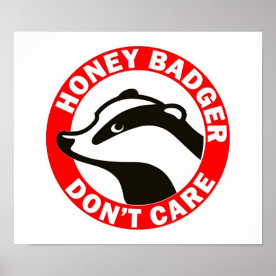 Honey Badger Don&#39;t Care Posters