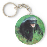 Honey Badger Key Chain