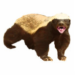 Honey Badger Photo Cut Out