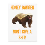 Honey Badger Post Card