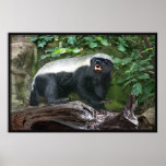 Honey Badger Poster