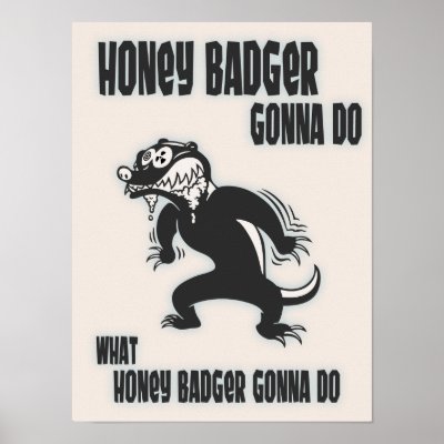 badger poster