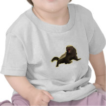 Honey Badger T-shirts