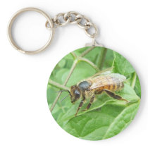 Honey Bee 264 ~ keychain