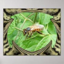 Honey Bee 264 ~ print