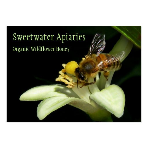 Honey Bee Apiary Business Card (front side)