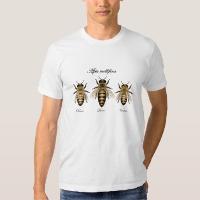 Honey bee Apis mellifera T Shirt