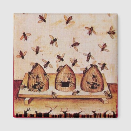 HONEY BEE ,BEEKEEPER FRIDGE MAGNETS