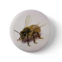 Honey bee pin