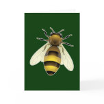 Honey Bee Greeting Cards