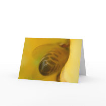 Honey Bee cards by louwhoz Honey Bee cards