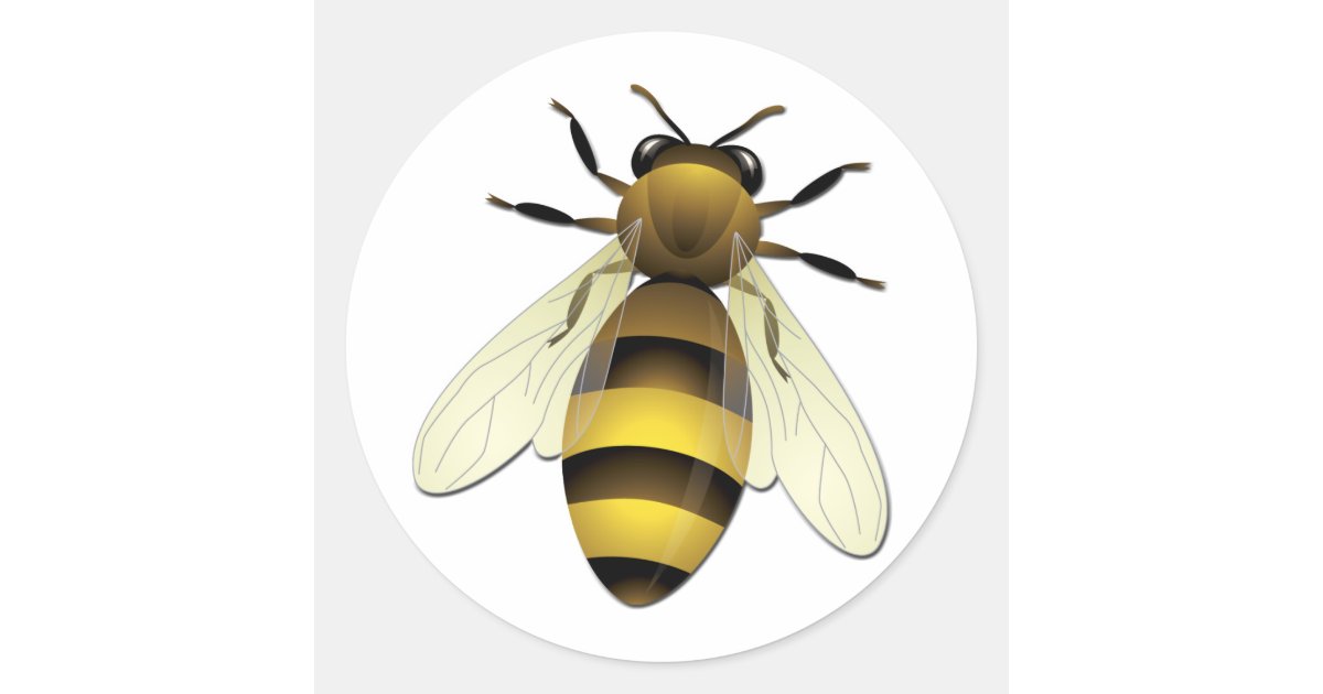 Honey Bee Classic Round Sticker Zazzle