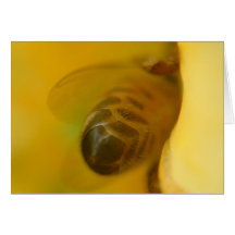 Honey Bee Greeting Cards
