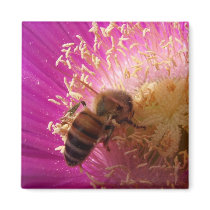 Honey Bee Magnet
