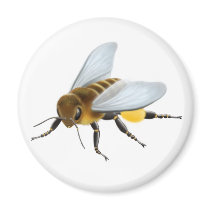 Honey Bee Magnet