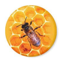 Honey bee fridge magnets