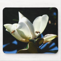 Honey Bee Mousepads