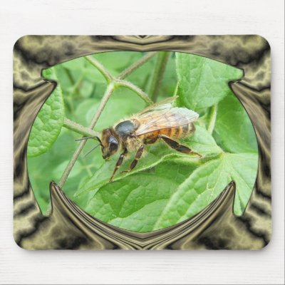 Honey Bee ~ Mousepad by Andy2302
