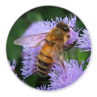Honey Bee on Ageratum Ceramic Knob