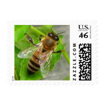 Honey Bee Postage