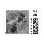 Honey Bee Stamp