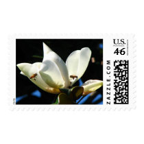 Honey Bee Postage
