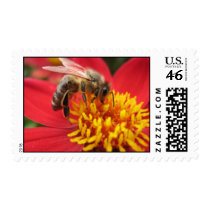 Honey Bee Stamps