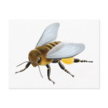 Honey Bee Postcard