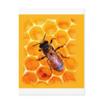 Honey bee postcards