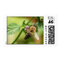Honey Bee Stamp by voudry Honey Bee Stamp