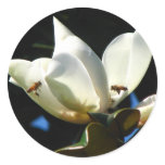 Honey Bee Round Stickers