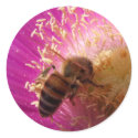 Honey Bee Sticker
